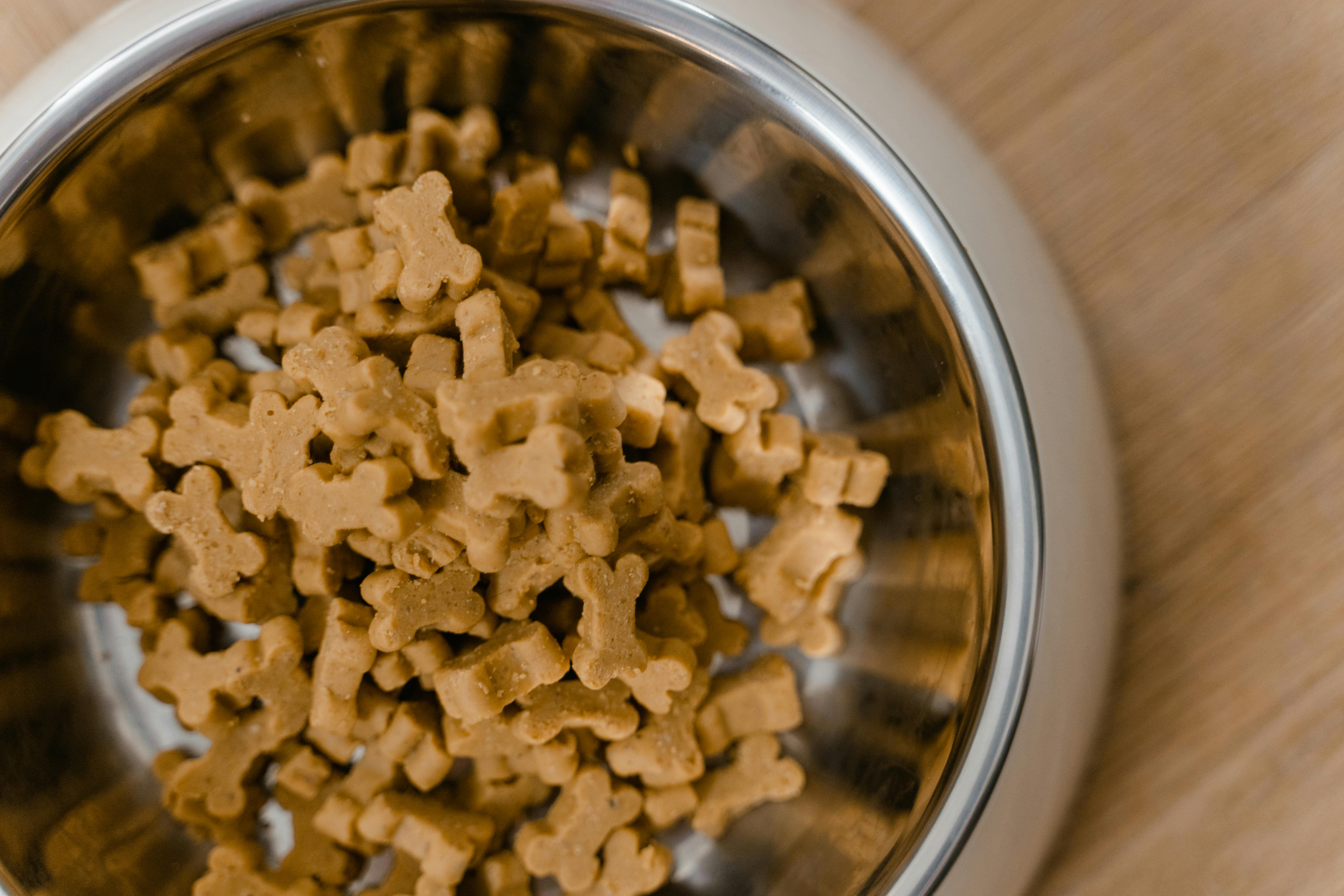 Adult Cat Food