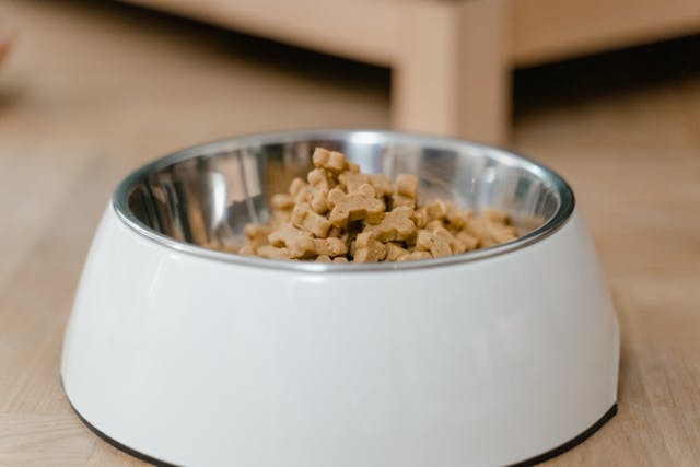 Puppy Food